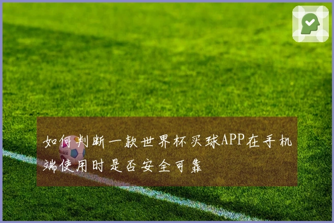 如何判断一款世界杯买球APP在手机端使用时是否安全可靠