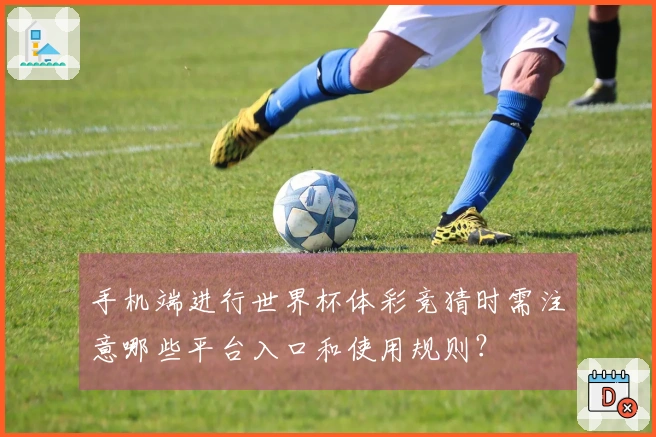 手机端进行世界杯体彩竞猜时需注意哪些平台入口和使用规则？